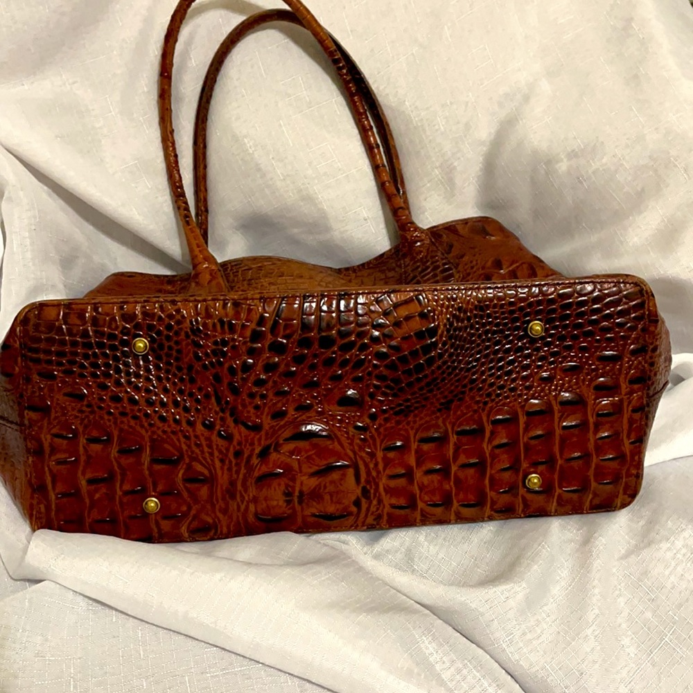 Brahmin - Picture 2 of 9